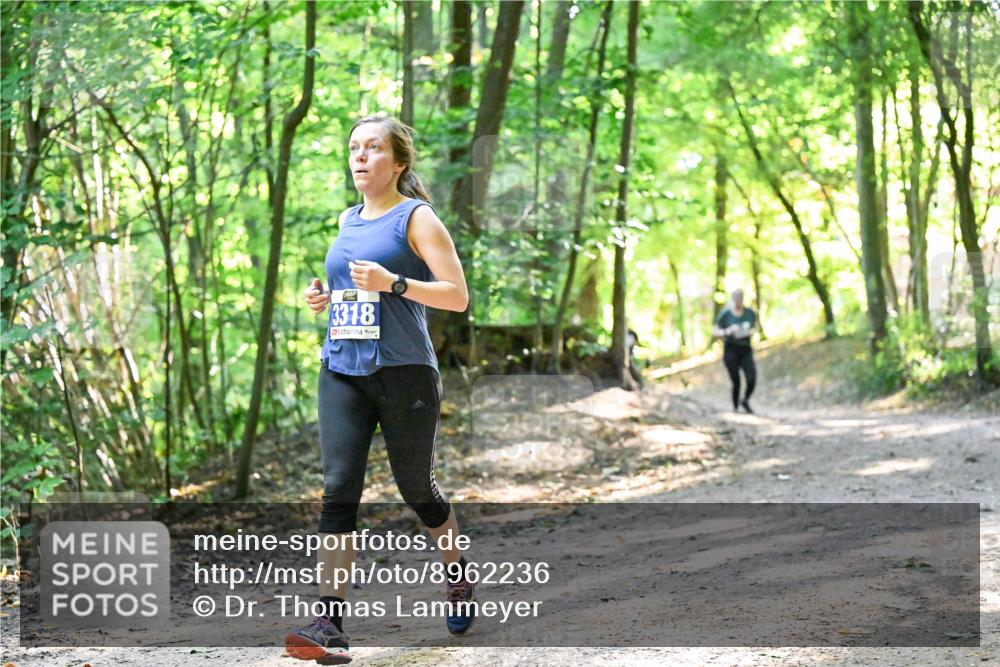 28.09.2025 - 33. Volkslauf durch das schöne Alstertal Dr. Thomas Lammeyer http://msf.ph/oto/8962236 28.09.2025 11:10:28 Laufen 3318 meine-sportfotos.de