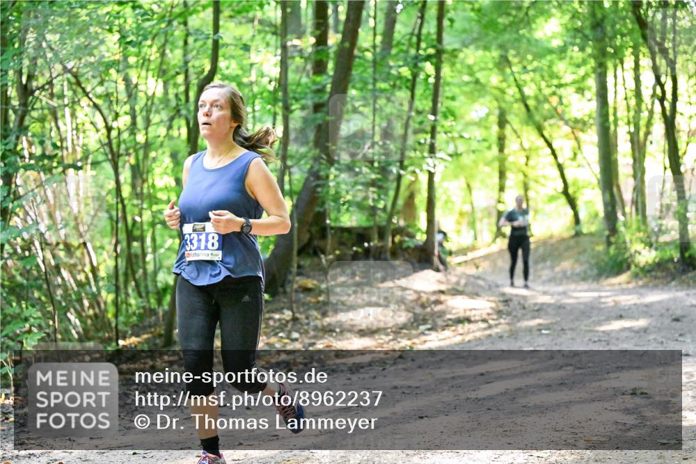 28.09.2025 - 33. Volkslauf durch das schöne Alstertal Dr. Thomas Lammeyer http://msf.ph/oto/8962237 28.09.2025 11:10:28 Laufen 3318 meine-sportfotos.de