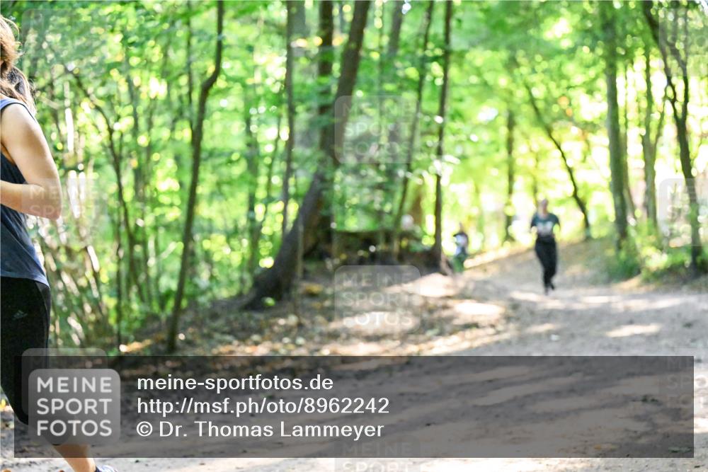 28.09.2025 - 33. Volkslauf durch das schöne Alstertal Dr. Thomas Lammeyer http://msf.ph/oto/8962242 28.09.2025 11:10:29 Laufen  meine-sportfotos.de