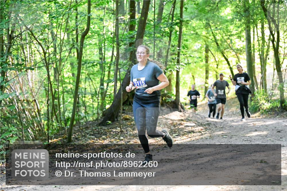28.09.2025 - 33. Volkslauf durch das schöne Alstertal Dr. Thomas Lammeyer http://msf.ph/oto/8962260 28.09.2025 11:10:34 Laufen 3115 meine-sportfotos.de
