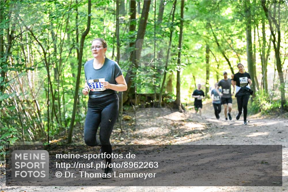 28.09.2025 - 33. Volkslauf durch das schöne Alstertal Dr. Thomas Lammeyer http://msf.ph/oto/8962263 28.09.2025 11:10:34 Laufen 3115, 3 meine-sportfotos.de