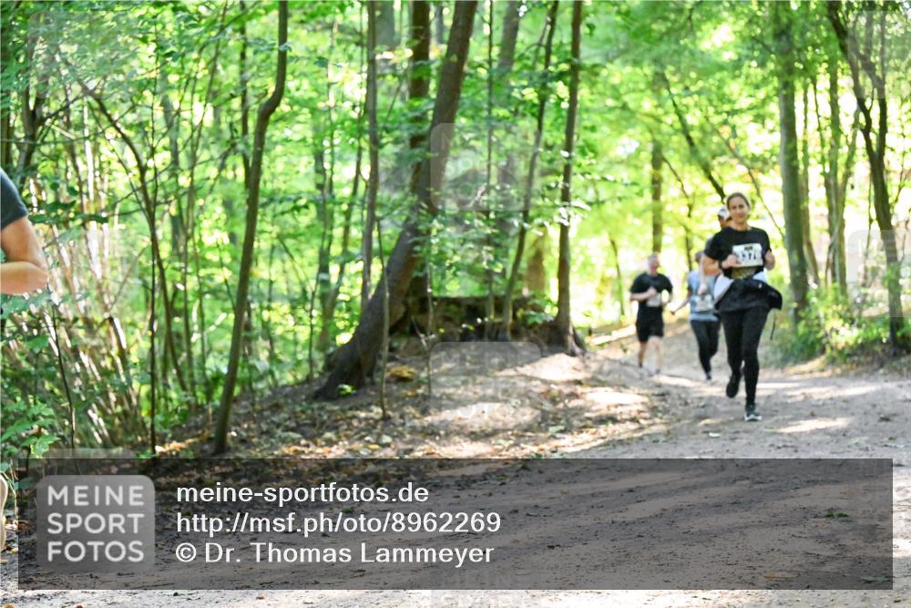 28.09.2025 - 33. Volkslauf durch das schöne Alstertal Dr. Thomas Lammeyer http://msf.ph/oto/8962269 28.09.2025 11:10:35 Laufen  meine-sportfotos.de
