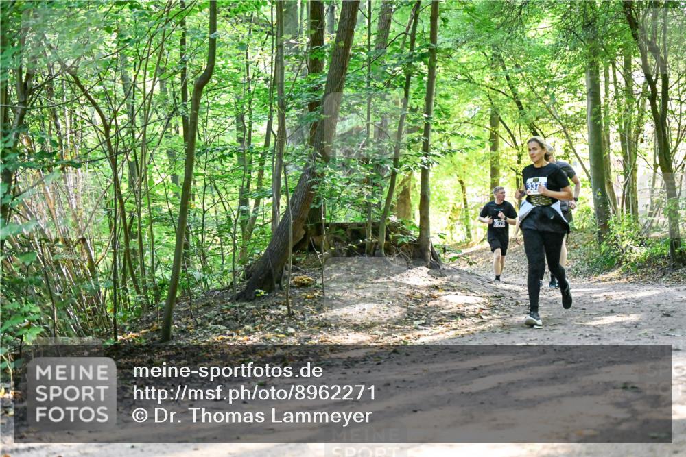 28.09.2025 - 33. Volkslauf durch das schöne Alstertal Dr. Thomas Lammeyer http://msf.ph/oto/8962271 28.09.2025 11:10:35 Laufen 3279, 337 meine-sportfotos.de
