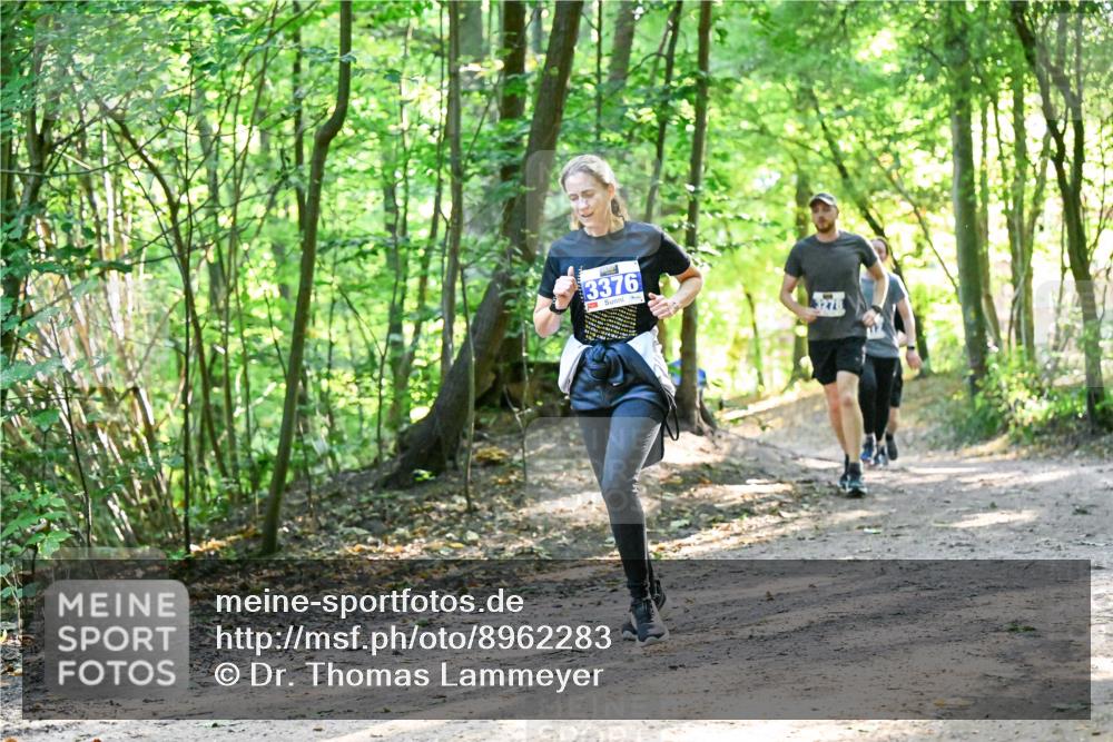 28.09.2025 - 33. Volkslauf durch das schöne Alstertal Dr. Thomas Lammeyer http://msf.ph/oto/8962283 28.09.2025 11:10:37 Laufen 3376, 3, 3278 meine-sportfotos.de
