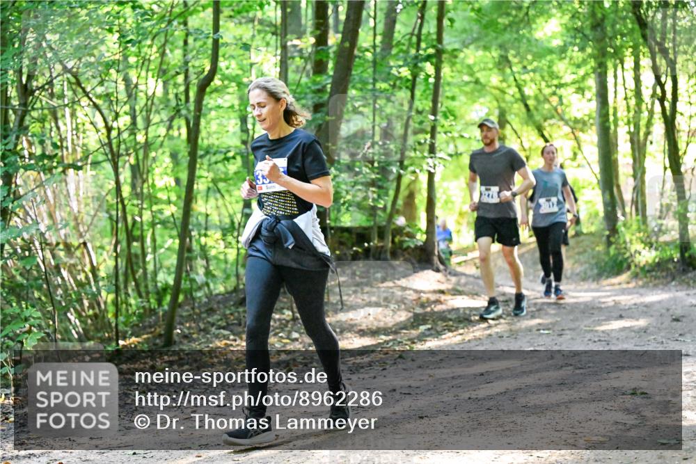 28.09.2025 - 33. Volkslauf durch das schöne Alstertal Dr. Thomas Lammeyer http://msf.ph/oto/8962286 28.09.2025 11:10:37 Laufen  meine-sportfotos.de