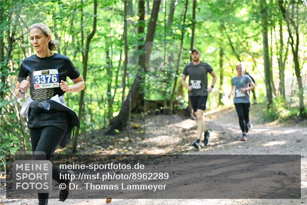 28.09.2025 - 33. Volkslauf durch das schöne Alstertal Dr. Thomas Lammeyer http://msf.ph/oto/8962289 28.09.2025 11:10:38 Laufen 3376, 197, 4184, 4444444184, 18, 4424, 4, 18, 4, 4, 1 meine-sportfotos.de