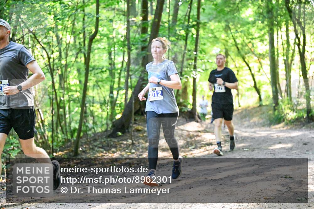 28.09.2025 - 33. Volkslauf durch das schöne Alstertal Dr. Thomas Lammeyer http://msf.ph/oto/8962301 28.09.2025 11:10:40 Laufen 3012 meine-sportfotos.de