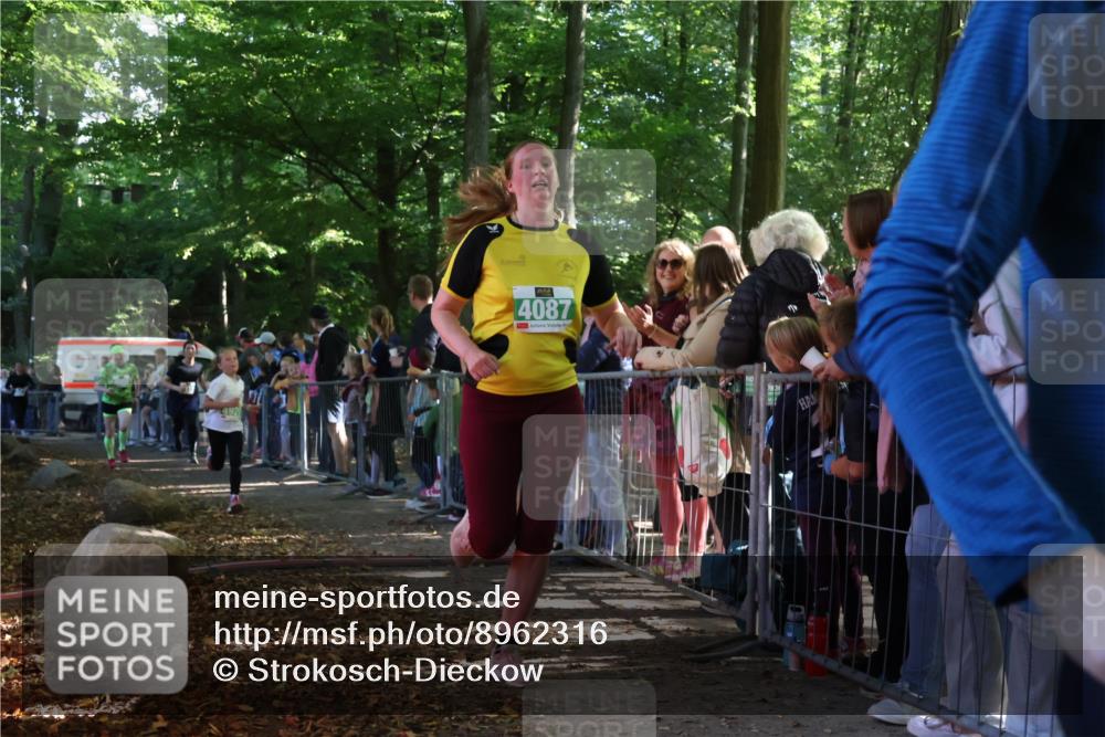 28.09.2025 - 33. Volkslauf durch das schöne Alstertal Strokosch-Dieckow http://msf.ph/oto/8962316 28.09.2025 10:57:38 Ziel 4087, 4088, 4103, 4119, 4126, 4920 meine-sportfotos.de