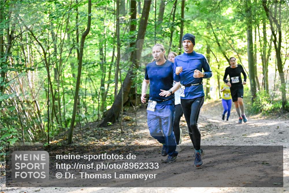 28.09.2025 - 33. Volkslauf durch das schöne Alstertal Dr. Thomas Lammeyer http://msf.ph/oto/8962333 28.09.2025 11:10:48 Laufen 199, 98, 374 meine-sportfotos.de