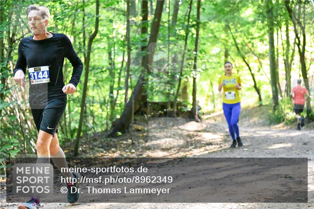 28.09.2025 - 33. Volkslauf durch das schöne Alstertal Dr. Thomas Lammeyer http://msf.ph/oto/8962349 28.09.2025 11:10:51 Laufen 3144, 1975 meine-sportfotos.de