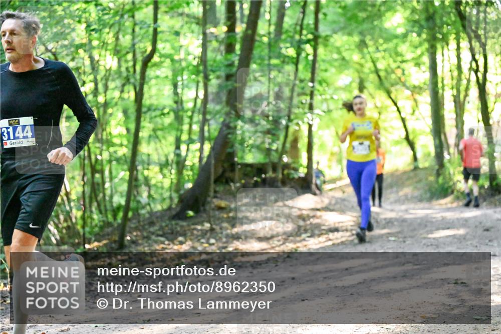 28.09.2025 - 33. Volkslauf durch das schöne Alstertal Dr. Thomas Lammeyer http://msf.ph/oto/8962350 28.09.2025 11:10:51 Laufen 3144 meine-sportfotos.de