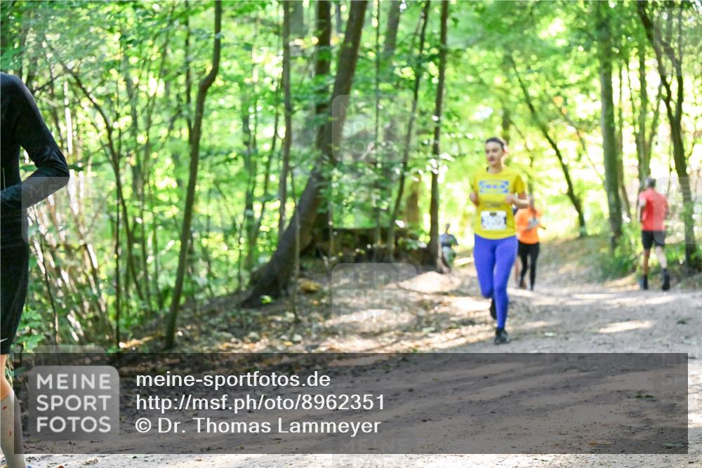 28.09.2025 - 33. Volkslauf durch das schöne Alstertal Dr. Thomas Lammeyer http://msf.ph/oto/8962351 28.09.2025 11:10:52 Laufen  meine-sportfotos.de