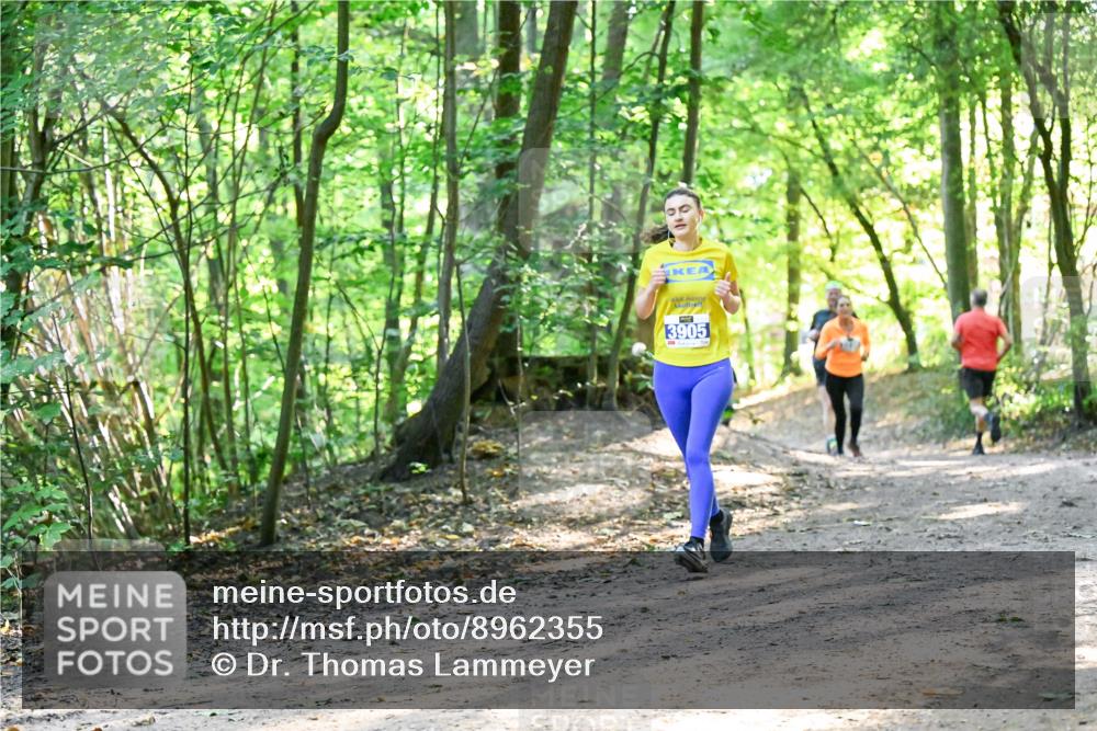 28.09.2025 - 33. Volkslauf durch das schöne Alstertal Dr. Thomas Lammeyer http://msf.ph/oto/8962355 28.09.2025 11:10:52 Laufen 3905 meine-sportfotos.de