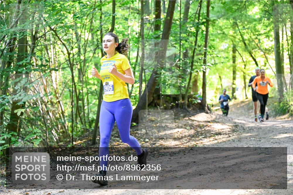 28.09.2025 - 33. Volkslauf durch das schöne Alstertal Dr. Thomas Lammeyer http://msf.ph/oto/8962356 28.09.2025 11:10:53 Laufen 3905 meine-sportfotos.de