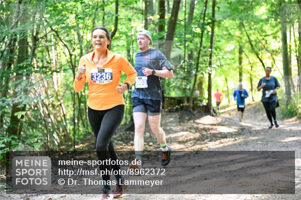 28.09.2025 - 33. Volkslauf durch das schöne Alstertal Dr. Thomas Lammeyer http://msf.ph/oto/8962372 28.09.2025 11:10:58 Laufen 3236, 3088 meine-sportfotos.de
