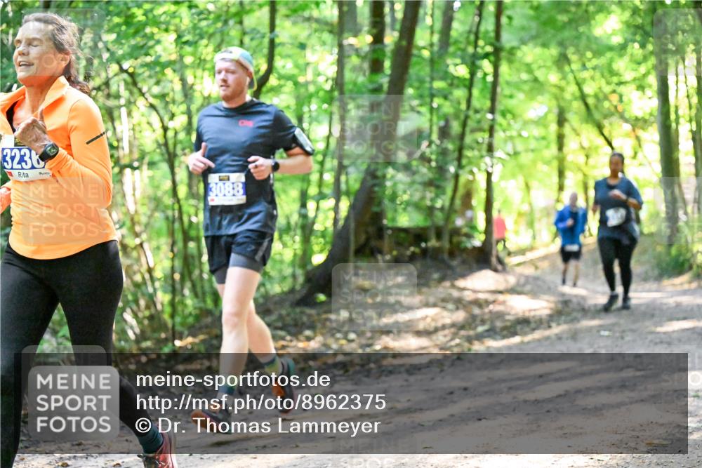 28.09.2025 - 33. Volkslauf durch das schöne Alstertal Dr. Thomas Lammeyer http://msf.ph/oto/8962375 28.09.2025 11:10:58 Laufen 3236, 3088 meine-sportfotos.de