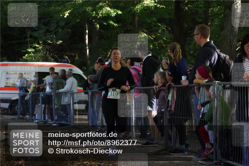 28.09.2025 - 33. Volkslauf durch das schöne Alstertal Strokosch-Dieckow http://msf.ph/oto/8962377 28.09.2025 10:57:44 Ziel 4103, 4127 meine-sportfotos.de