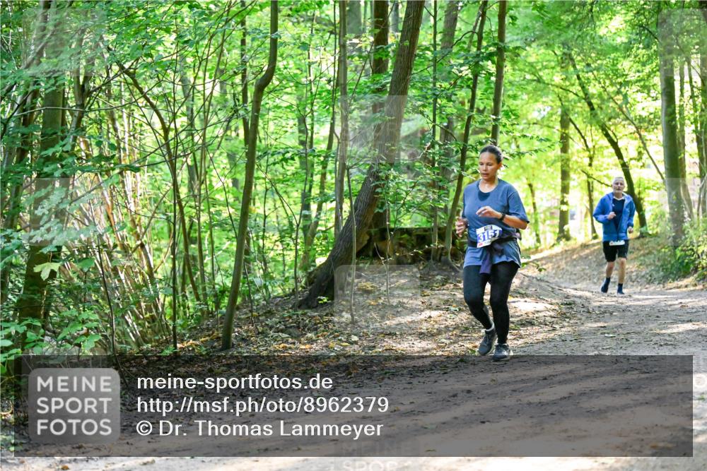 28.09.2025 - 33. Volkslauf durch das schöne Alstertal Dr. Thomas Lammeyer http://msf.ph/oto/8962379 28.09.2025 11:10:59 Laufen  meine-sportfotos.de