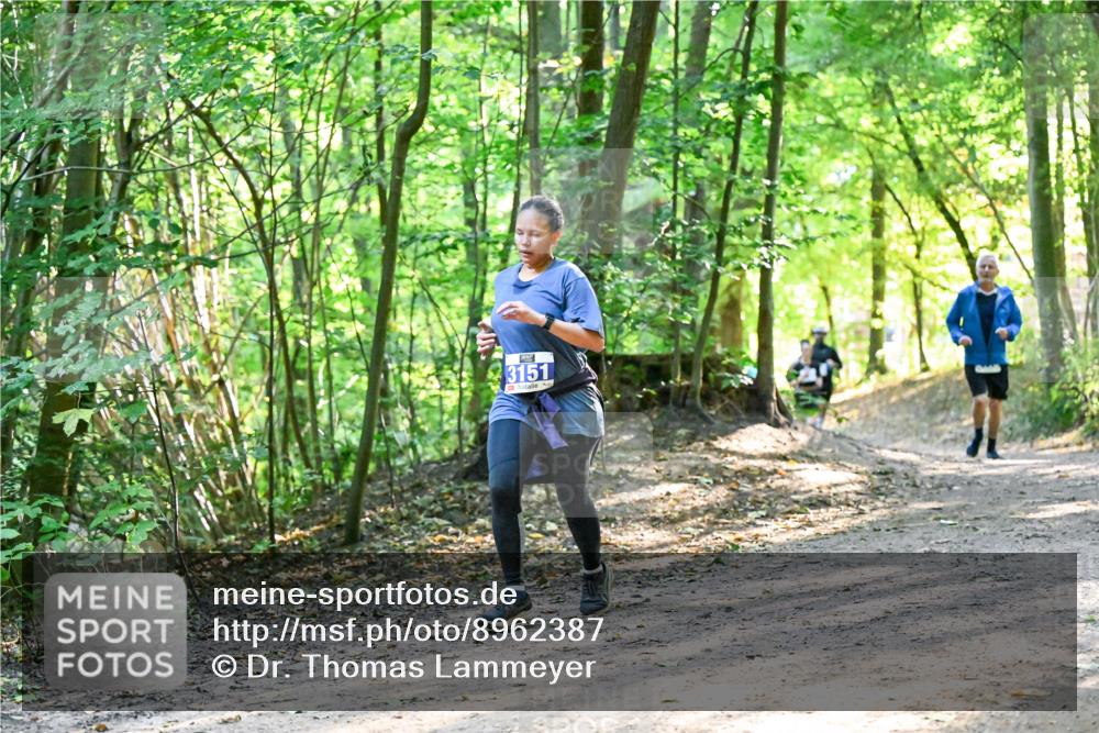 28.09.2025 - 33. Volkslauf durch das schöne Alstertal Dr. Thomas Lammeyer http://msf.ph/oto/8962387 28.09.2025 11:11:00 Laufen 3151 meine-sportfotos.de