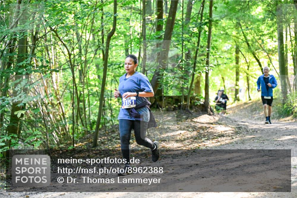28.09.2025 - 33. Volkslauf durch das schöne Alstertal Dr. Thomas Lammeyer http://msf.ph/oto/8962388 28.09.2025 11:11:00 Laufen 3151 meine-sportfotos.de
