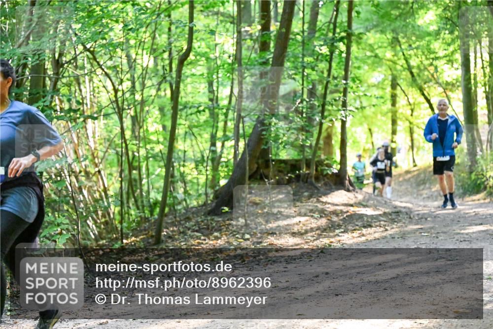 28.09.2025 - 33. Volkslauf durch das schöne Alstertal Dr. Thomas Lammeyer http://msf.ph/oto/8962396 28.09.2025 11:11:01 Laufen  meine-sportfotos.de