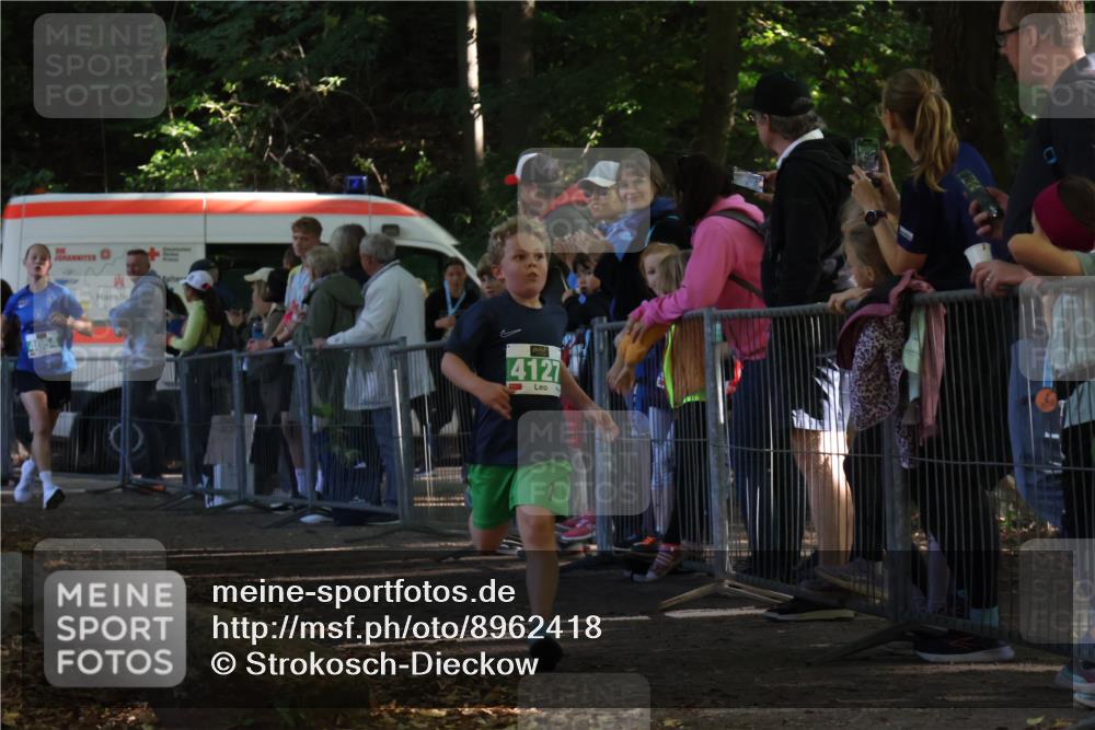 28.09.2025 - 33. Volkslauf durch das schöne Alstertal Strokosch-Dieckow http://msf.ph/oto/8962418 28.09.2025 10:57:50 Ziel 4054, 4076, 4127 meine-sportfotos.de