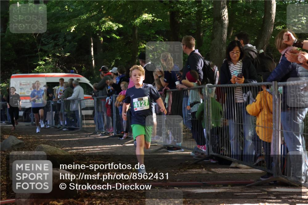 28.09.2025 - 33. Volkslauf durch das schöne Alstertal Strokosch-Dieckow http://msf.ph/oto/8962431 28.09.2025 10:57:51 Ziel 4054, 4076, 4127 meine-sportfotos.de