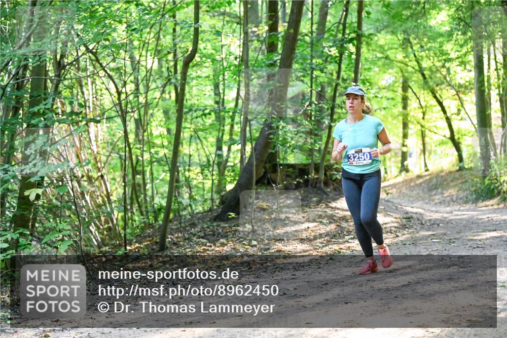28.09.2025 - 33. Volkslauf durch das schöne Alstertal Dr. Thomas Lammeyer http://msf.ph/oto/8962450 28.09.2025 11:11:10 Laufen 13250 meine-sportfotos.de