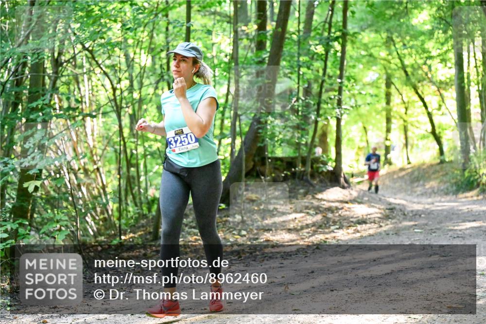 28.09.2025 - 33. Volkslauf durch das schöne Alstertal Dr. Thomas Lammeyer http://msf.ph/oto/8962460 28.09.2025 11:11:12 Laufen 3250 meine-sportfotos.de