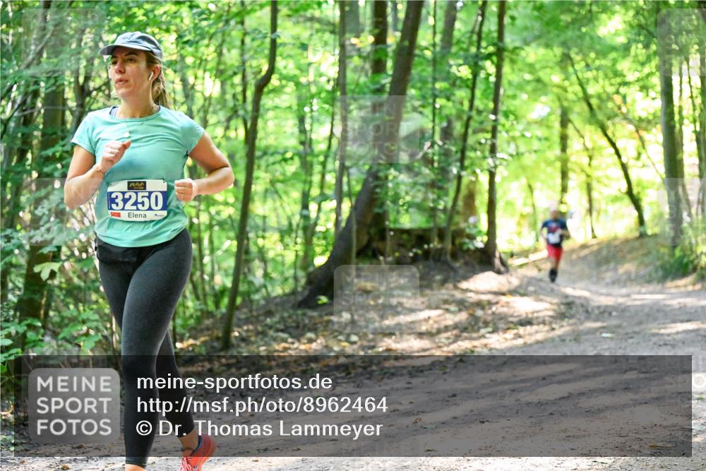 28.09.2025 - 33. Volkslauf durch das schöne Alstertal Dr. Thomas Lammeyer http://msf.ph/oto/8962464 28.09.2025 11:11:12 Laufen 3250 meine-sportfotos.de