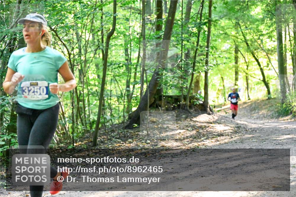 28.09.2025 - 33. Volkslauf durch das schöne Alstertal Dr. Thomas Lammeyer http://msf.ph/oto/8962465 28.09.2025 11:11:12 Laufen 3250 meine-sportfotos.de