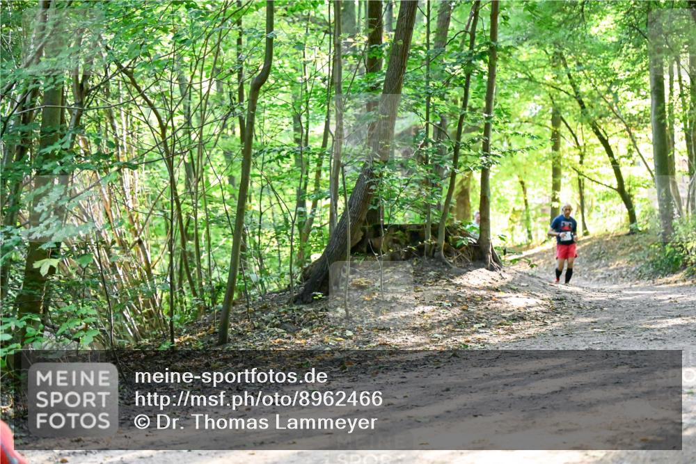 28.09.2025 - 33. Volkslauf durch das schöne Alstertal Dr. Thomas Lammeyer http://msf.ph/oto/8962466 28.09.2025 11:11:12 Laufen  meine-sportfotos.de
