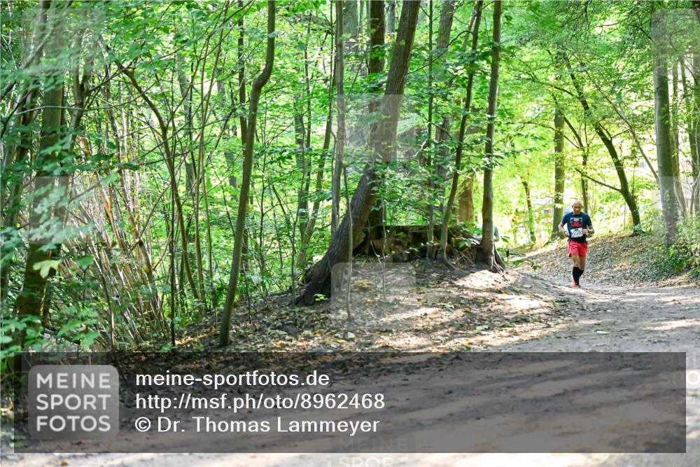 28.09.2025 - 33. Volkslauf durch das schöne Alstertal Dr. Thomas Lammeyer http://msf.ph/oto/8962468 28.09.2025 11:11:13 Laufen  meine-sportfotos.de