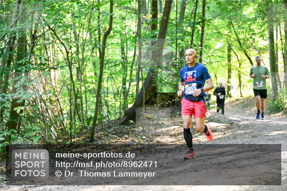 28.09.2025 - 33. Volkslauf durch das schöne Alstertal Dr. Thomas Lammeyer http://msf.ph/oto/8962471 28.09.2025 11:11:19 Laufen 3955 meine-sportfotos.de