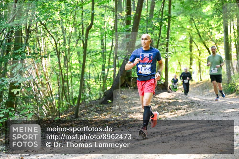 28.09.2025 - 33. Volkslauf durch das schöne Alstertal Dr. Thomas Lammeyer http://msf.ph/oto/8962473 28.09.2025 11:11:19 Laufen 3955 meine-sportfotos.de