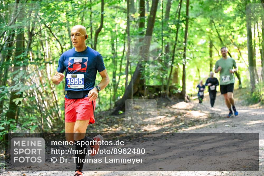 28.09.2025 - 33. Volkslauf durch das schöne Alstertal Dr. Thomas Lammeyer http://msf.ph/oto/8962480 28.09.2025 11:11:20 Laufen 3955 meine-sportfotos.de