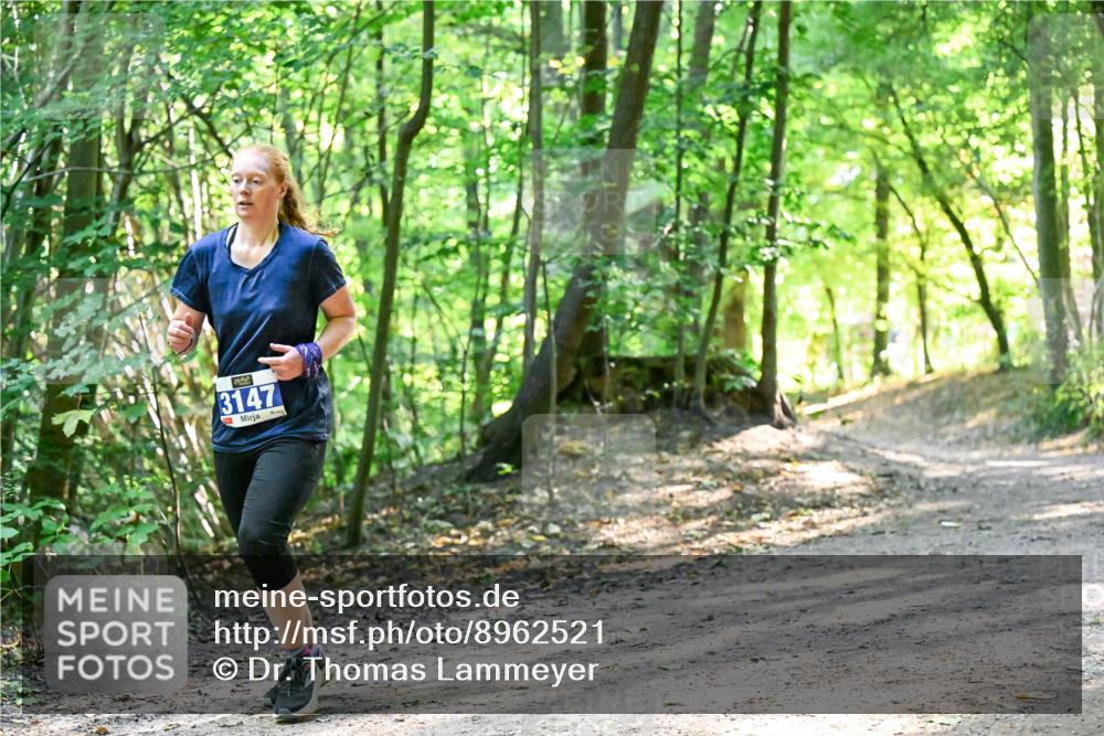 28.09.2025 - 33. Volkslauf durch das schöne Alstertal Dr. Thomas Lammeyer http://msf.ph/oto/8962521 28.09.2025 11:11:28 Laufen 3147 meine-sportfotos.de
