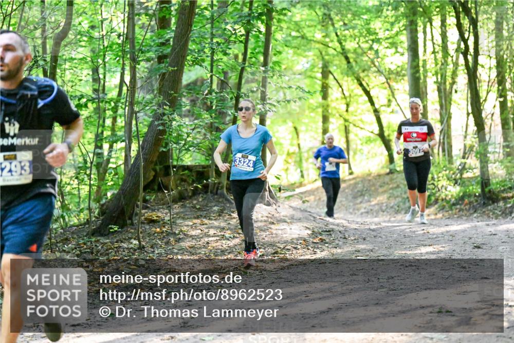 28.09.2025 - 33. Volkslauf durch das schöne Alstertal Dr. Thomas Lammeyer http://msf.ph/oto/8962523 28.09.2025 11:11:39 Laufen 293, 3324, 3097 meine-sportfotos.de
