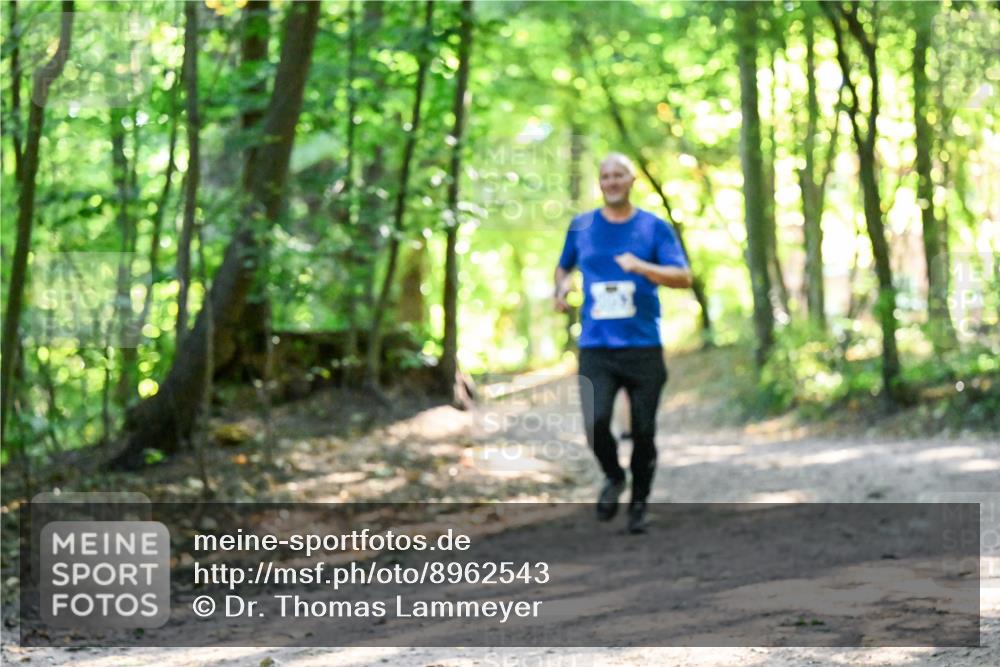 28.09.2025 - 33. Volkslauf durch das schöne Alstertal Dr. Thomas Lammeyer http://msf.ph/oto/8962543 28.09.2025 11:11:43 Laufen  meine-sportfotos.de