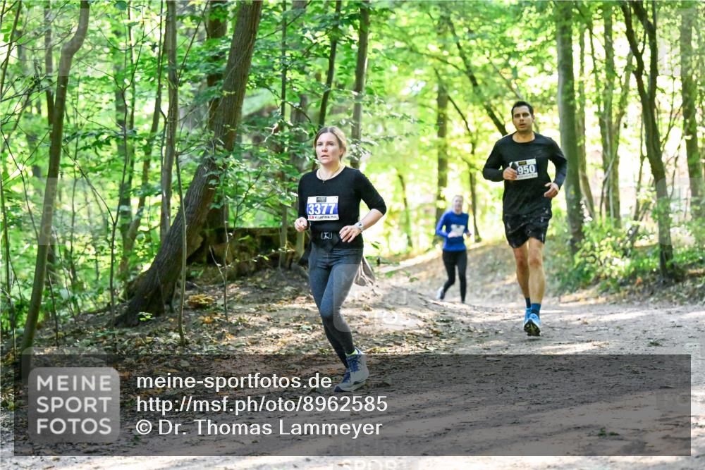 28.09.2025 - 33. Volkslauf durch das schöne Alstertal Dr. Thomas Lammeyer http://msf.ph/oto/8962585 28.09.2025 11:11:53 Laufen 3377, 950 meine-sportfotos.de