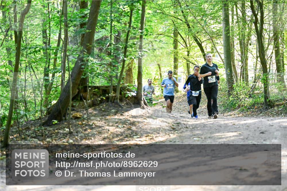 28.09.2025 - 33. Volkslauf durch das schöne Alstertal Dr. Thomas Lammeyer http://msf.ph/oto/8962629 28.09.2025 11:12:09 Laufen 3177 meine-sportfotos.de