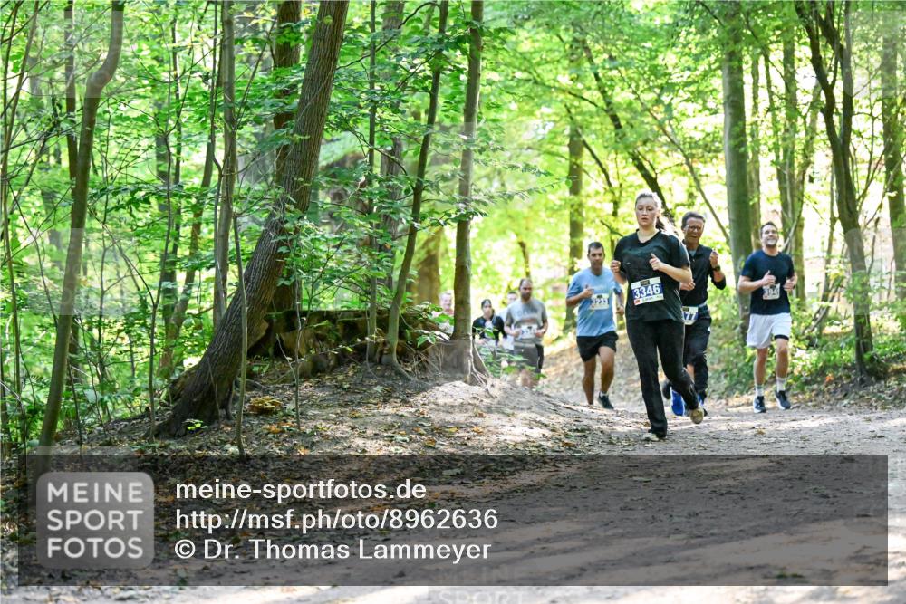 28.09.2025 - 33. Volkslauf durch das schöne Alstertal Dr. Thomas Lammeyer http://msf.ph/oto/8962636 28.09.2025 11:12:10 Laufen 3233, 3346, 77, 394 meine-sportfotos.de