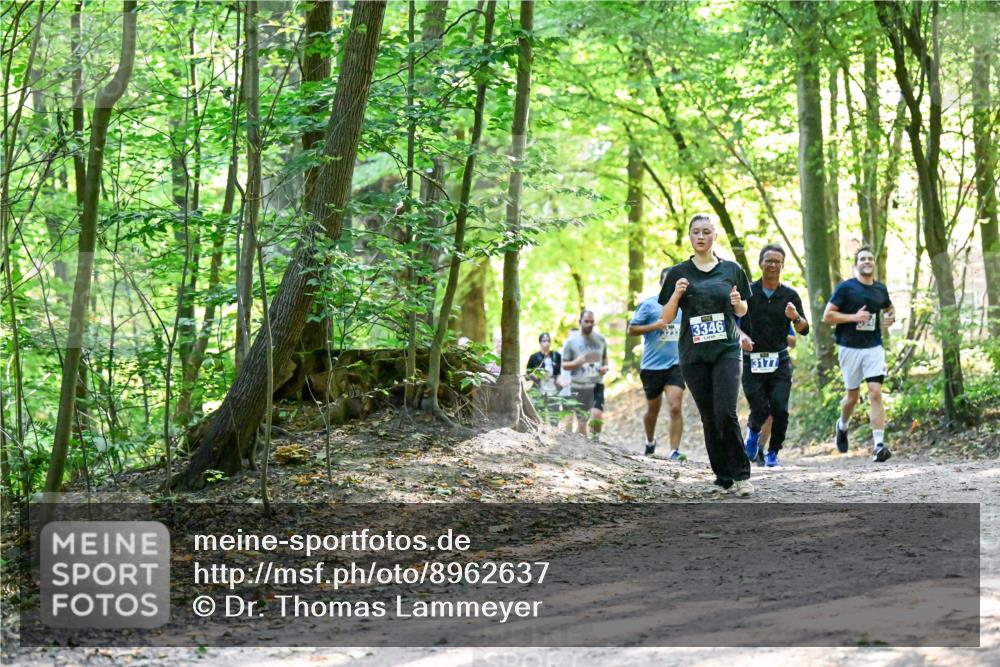 28.09.2025 - 33. Volkslauf durch das schöne Alstertal Dr. Thomas Lammeyer http://msf.ph/oto/8962637 28.09.2025 11:12:10 Laufen 3233, 3346, 3177 meine-sportfotos.de