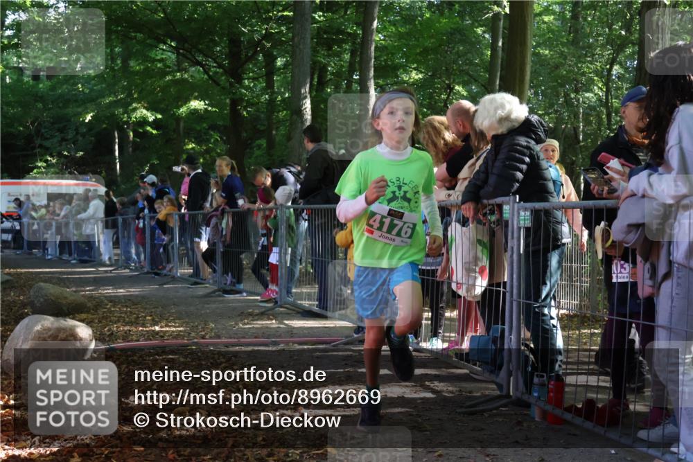 28.09.2025 - 33. Volkslauf durch das schöne Alstertal Strokosch-Dieckow http://msf.ph/oto/8962669 28.09.2025 10:58:27 Ziel 4176 meine-sportfotos.de