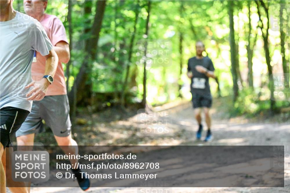 28.09.2025 - 33. Volkslauf durch das schöne Alstertal Dr. Thomas Lammeyer http://msf.ph/oto/8962708 28.09.2025 11:12:20 Laufen  meine-sportfotos.de