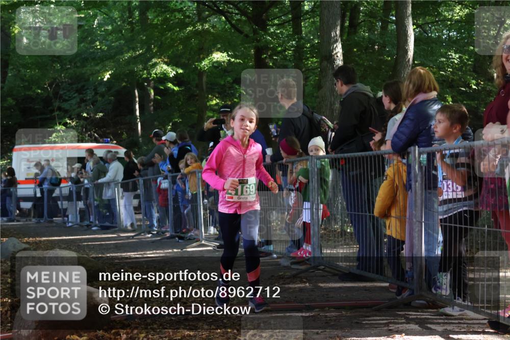 28.09.2025 - 33. Volkslauf durch das schöne Alstertal Strokosch-Dieckow http://msf.ph/oto/8962712 28.09.2025 10:58:39 Ziel 4052, 4095, 4169 meine-sportfotos.de