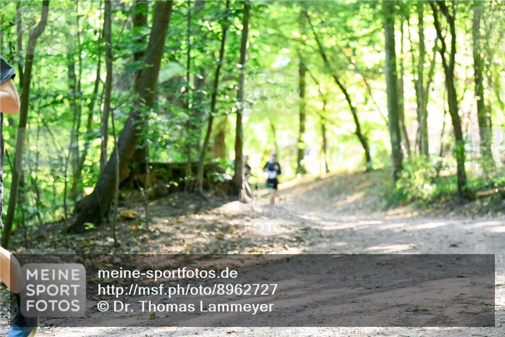 28.09.2025 - 33. Volkslauf durch das schöne Alstertal Dr. Thomas Lammeyer http://msf.ph/oto/8962727 28.09.2025 11:12:23 Laufen  meine-sportfotos.de