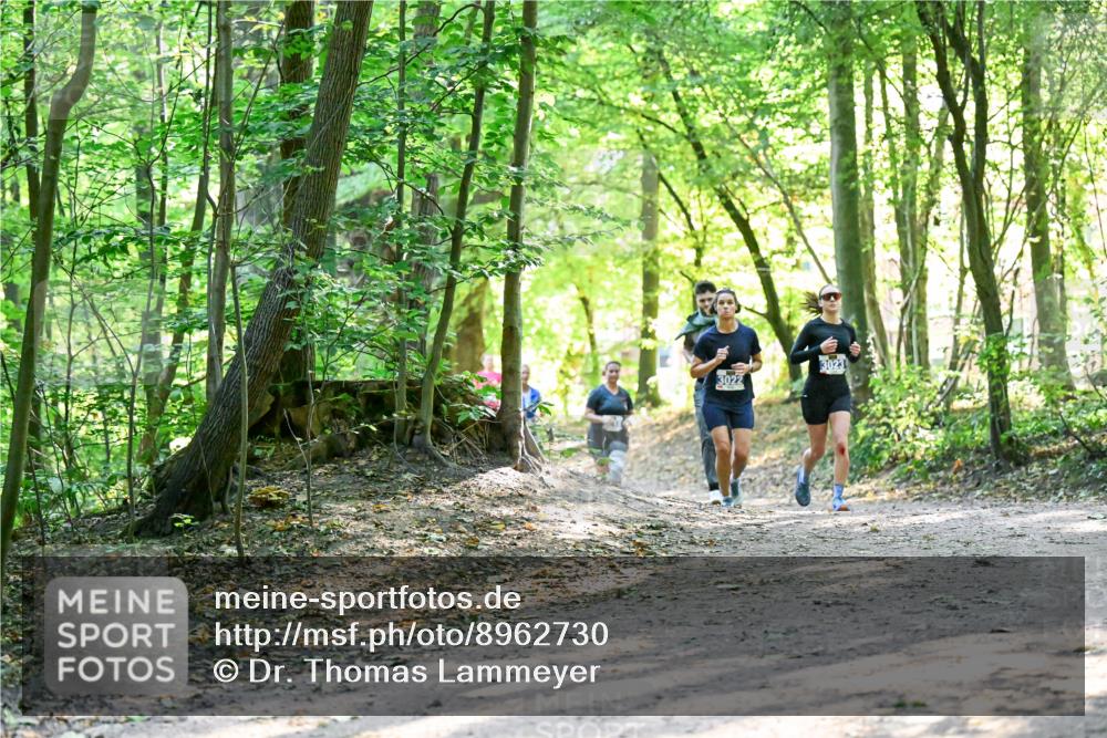 28.09.2025 - 33. Volkslauf durch das schöne Alstertal Dr. Thomas Lammeyer http://msf.ph/oto/8962730 28.09.2025 11:12:27 Laufen 3022, 3023 meine-sportfotos.de