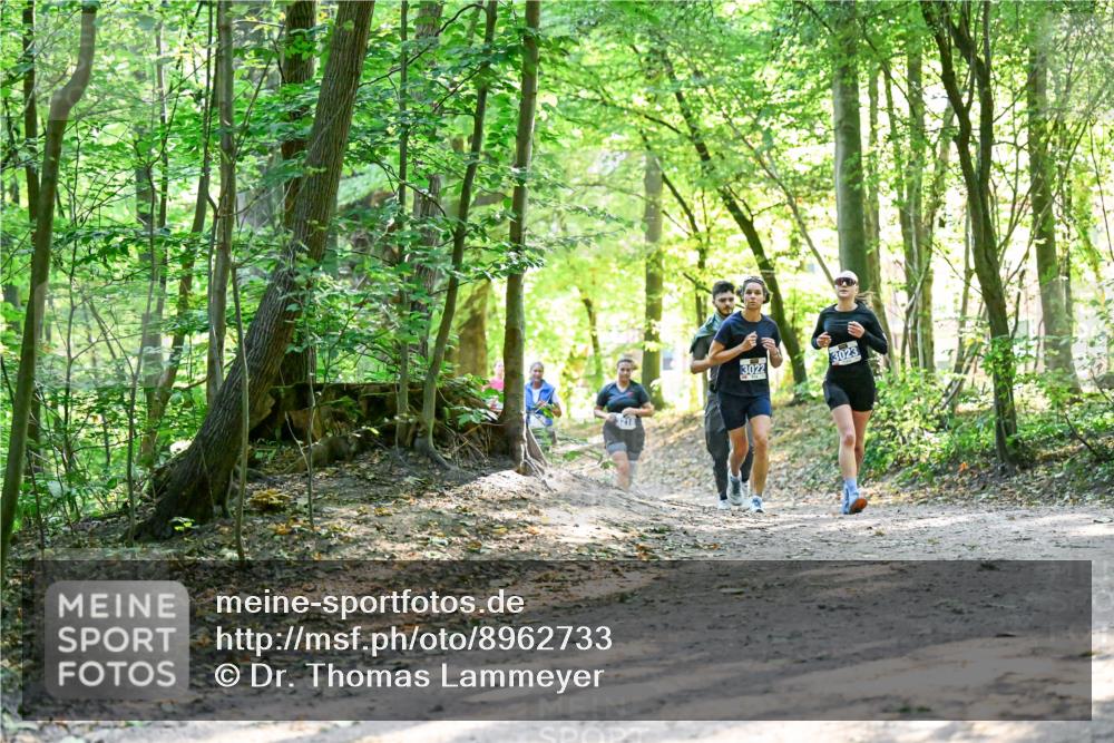 28.09.2025 - 33. Volkslauf durch das schöne Alstertal Dr. Thomas Lammeyer http://msf.ph/oto/8962733 28.09.2025 11:12:27 Laufen 218, 3022, 3023 meine-sportfotos.de