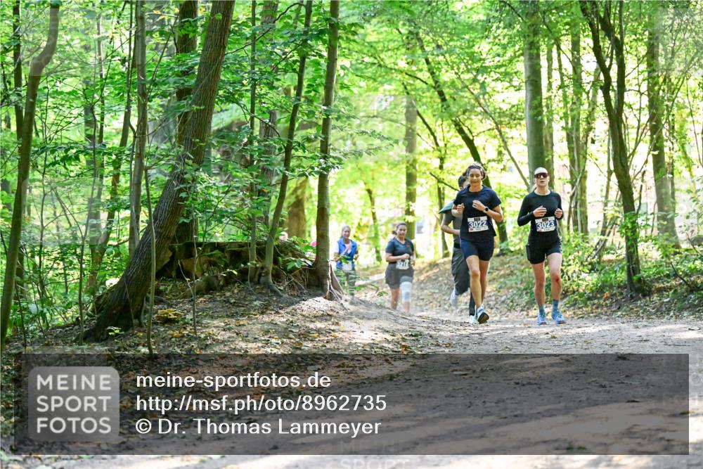 28.09.2025 - 33. Volkslauf durch das schöne Alstertal Dr. Thomas Lammeyer http://msf.ph/oto/8962735 28.09.2025 11:12:27 Laufen 3022, 3023 meine-sportfotos.de